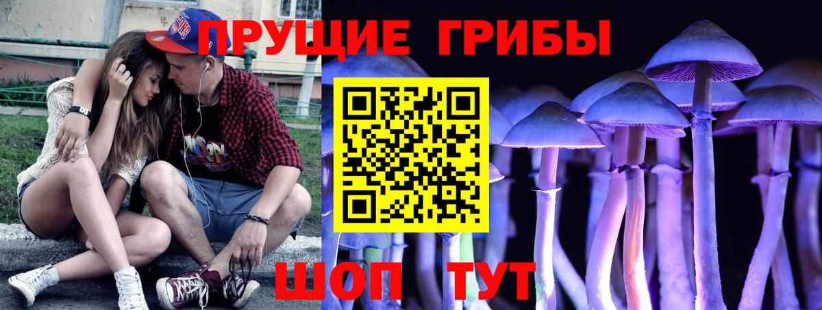 Галлюциногенные грибы Psilocybe  Вход с VPN  Сызрань 